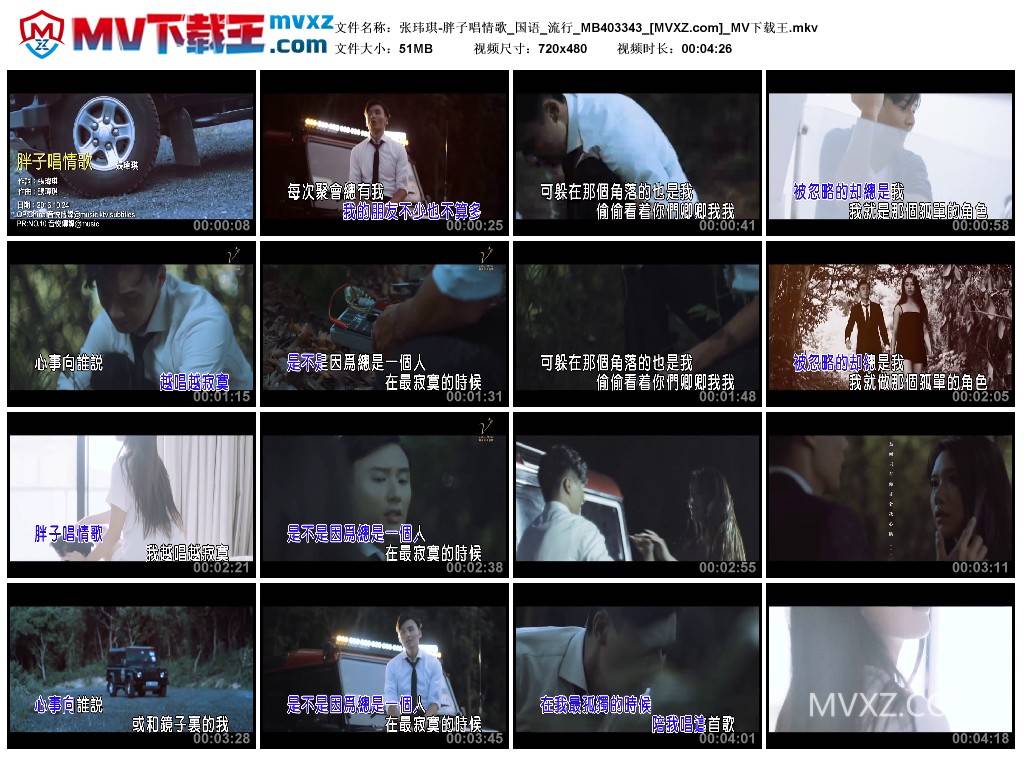 张玮琪-胖子唱情歌_国语_流行_MB403343